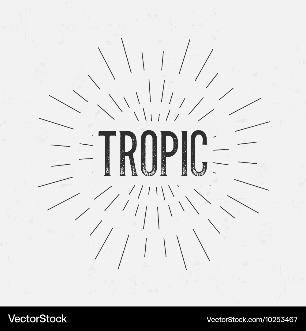Abstract creative concept design layout with text Vector Image