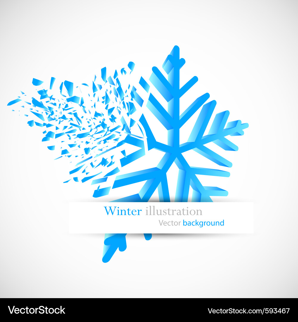 Elegant Snowflakes with Debris vector image