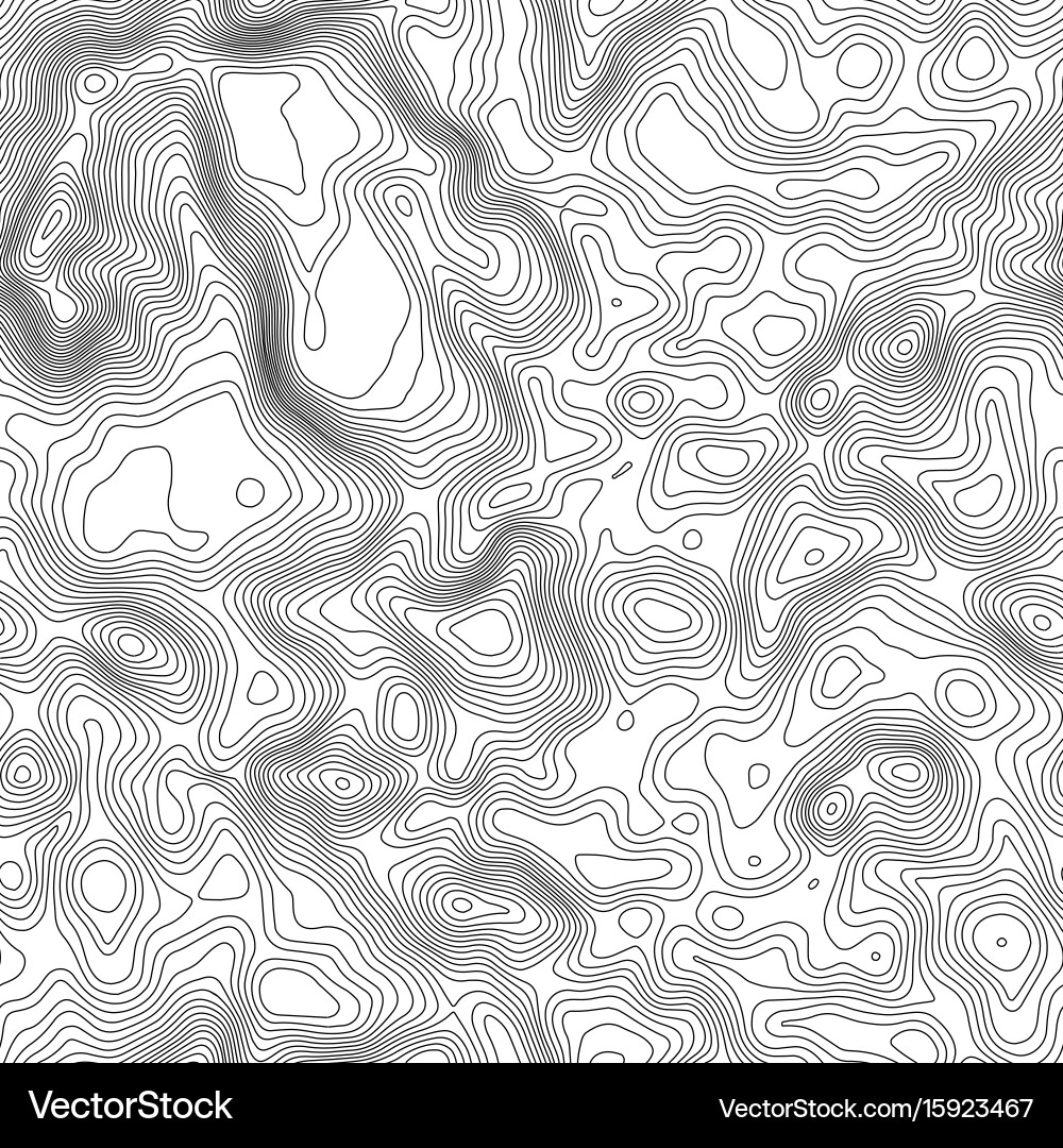 Seamless pattern topographic map background vector image