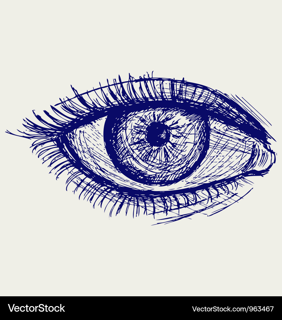 Woman's Eye Sketch Vector Image