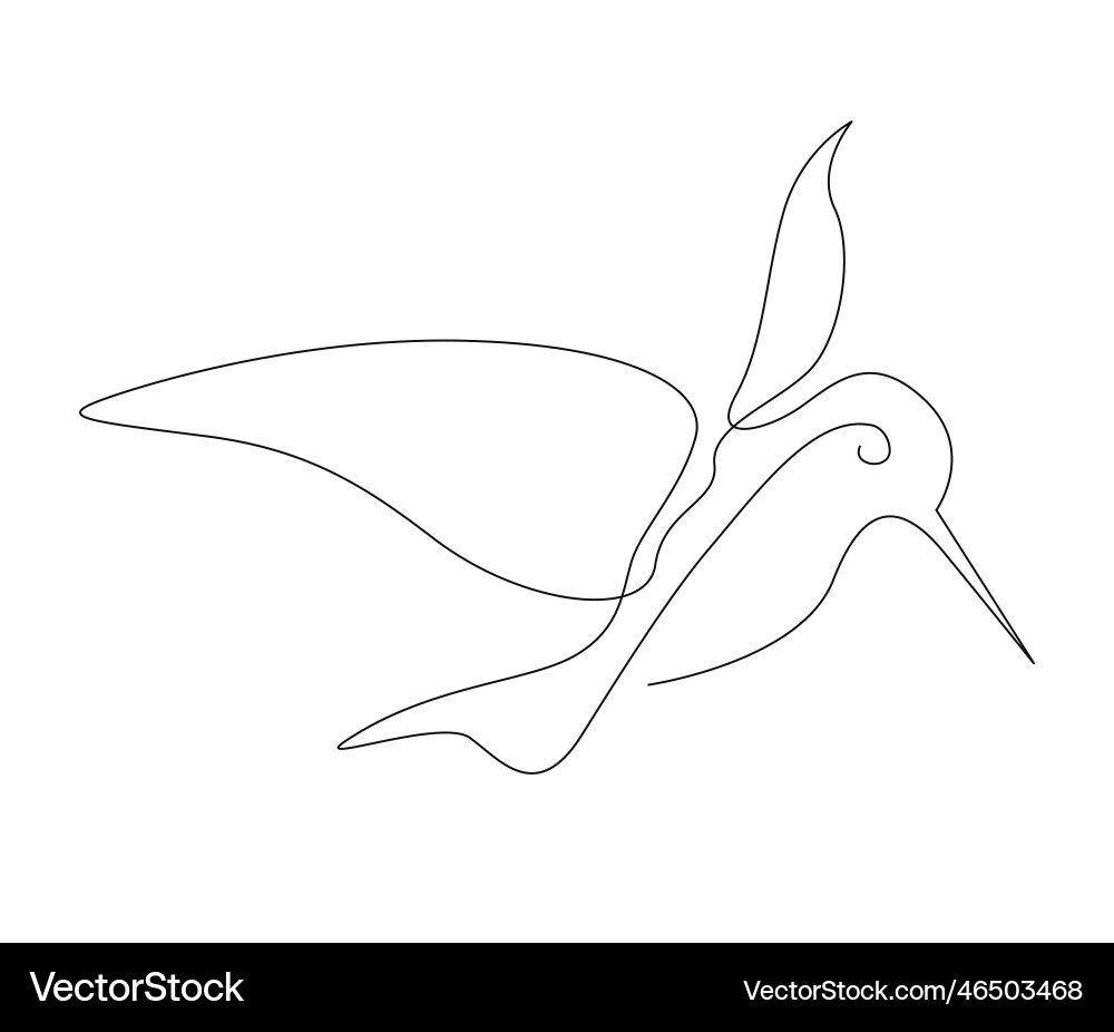 Continuous one line drawing of collibri simple Continuous one line drawing of collibri simple vector image
