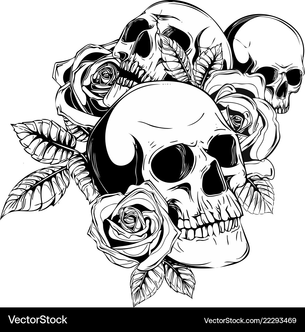 Ein menschlicher Schädel mit Rosen auf weißem Hintergrund Ein menschlicher Schädel mit Rosen auf weißem Hintergrund vektorbild