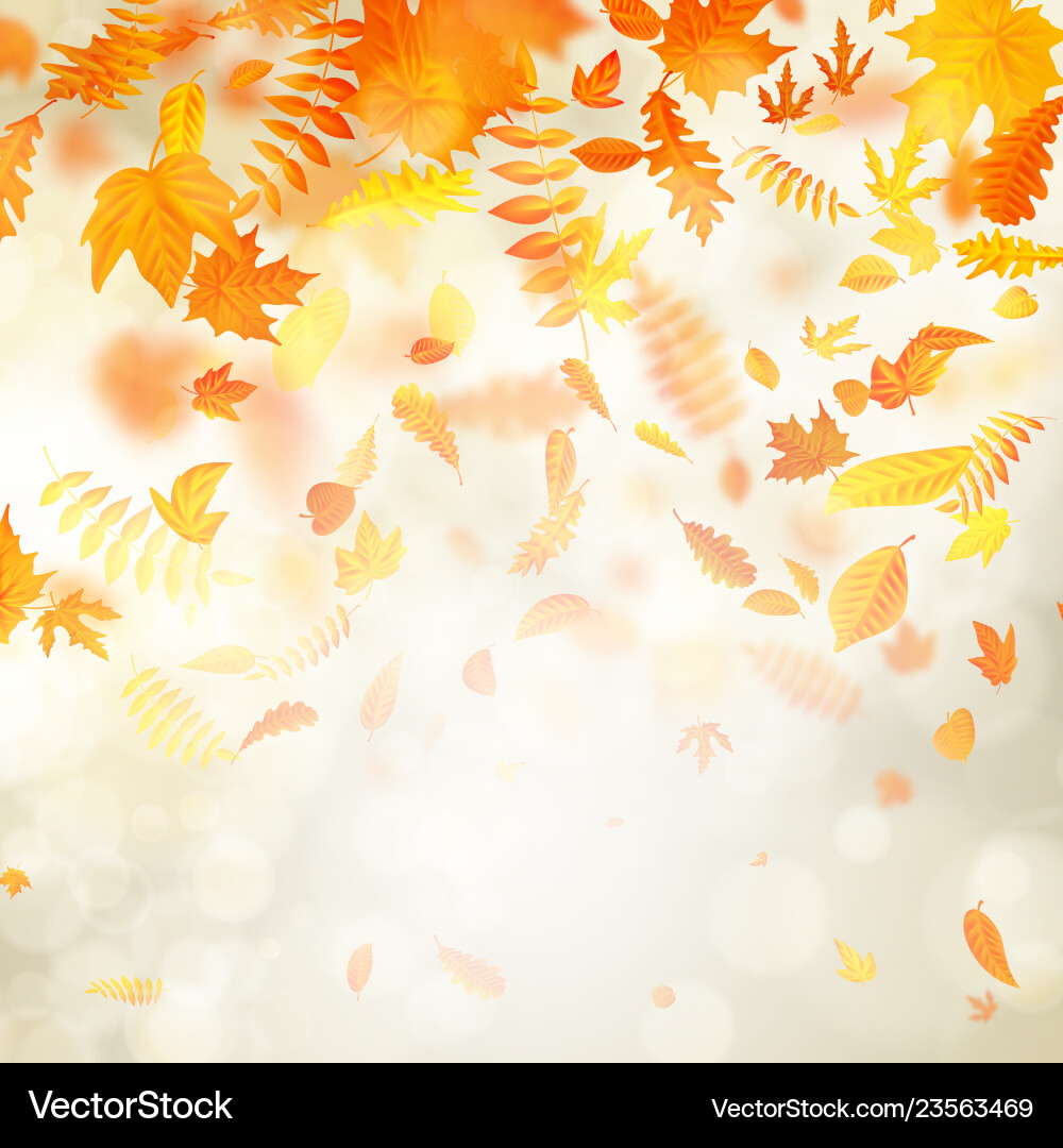 Gold autumn bokeh background with maple Gold autumn bokeh background with maple vector image