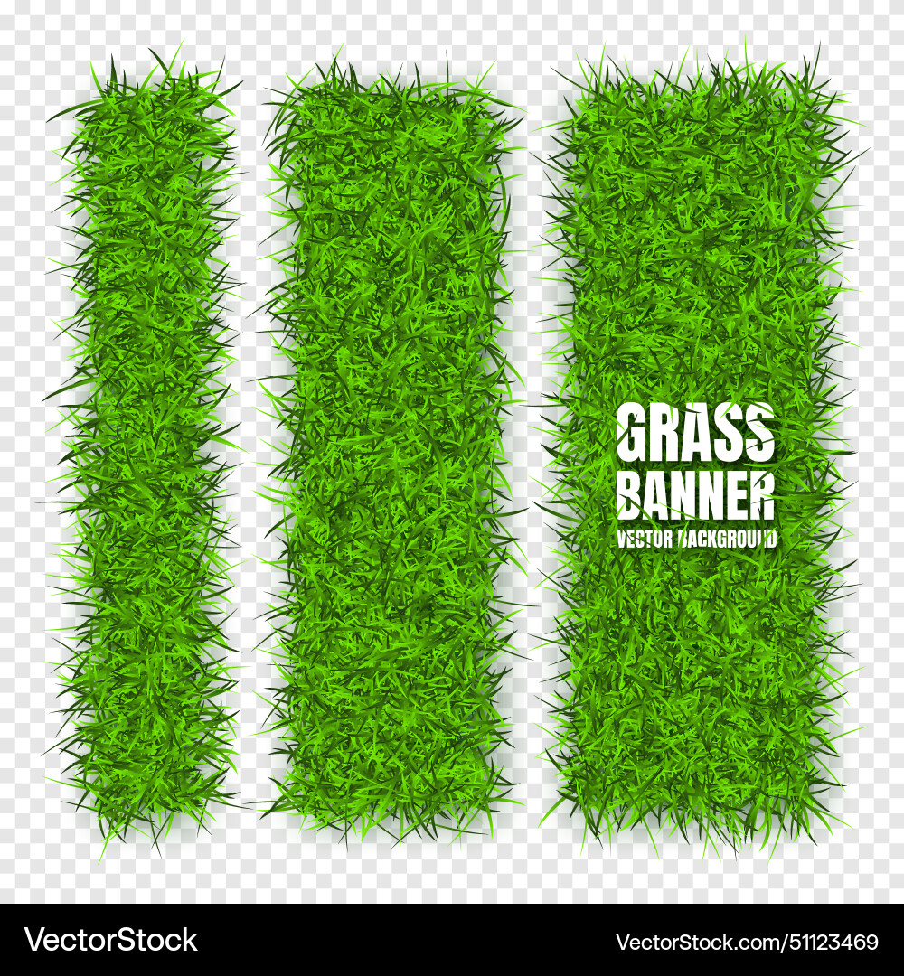 Green grass banners background field meadow Green grass banners background field meadow vector image