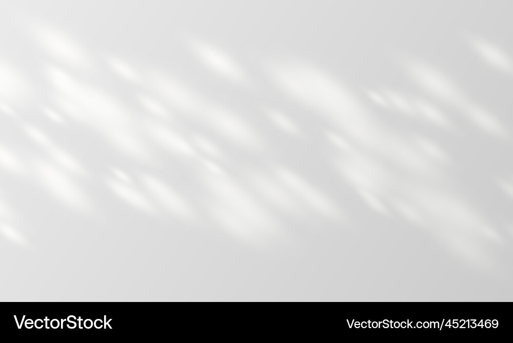 Sunlight on a gray wall sunbeams in room sunny Sunlight on a gray wall sunbeams in room sunny vector image