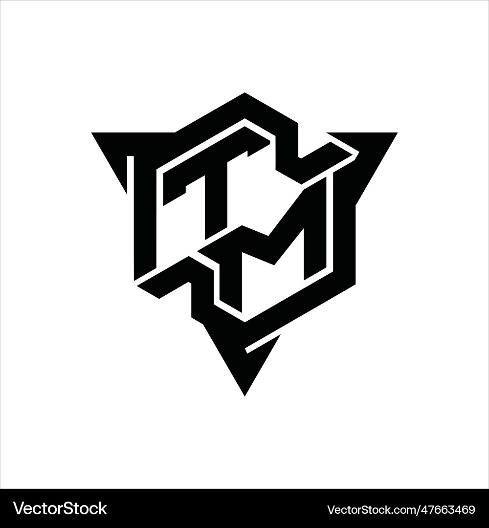 Tm logo monogram hexagon shape with triangle Tm logo monogram hexagon shape with triangle Vector Image