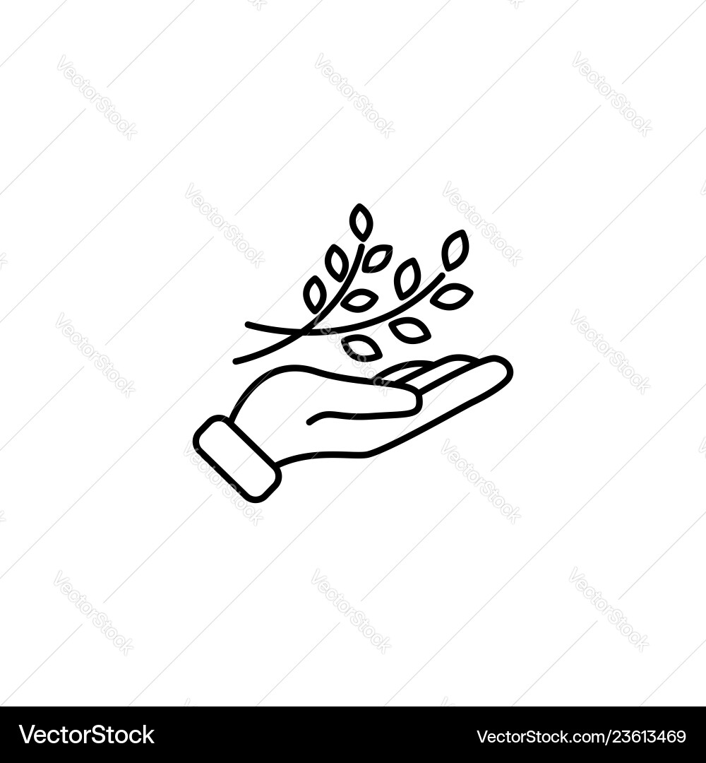 Web line icon a branch in the hand Web line icon a branch in the hand vector image