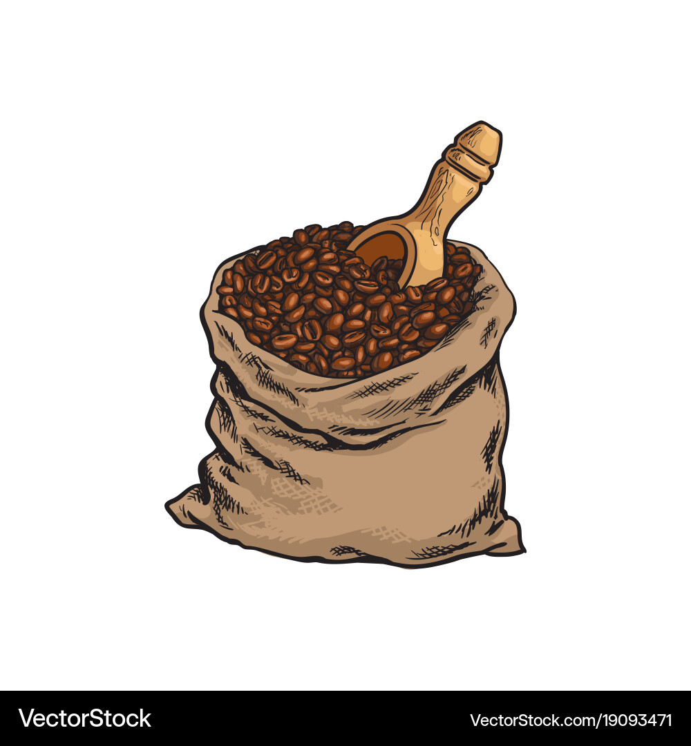 Beutel gerosteter Kaffeebohnen mit Holzschaufel Vektorbild