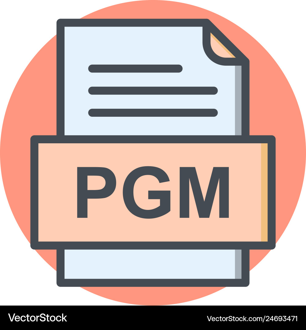 Pgm file document icon vector image