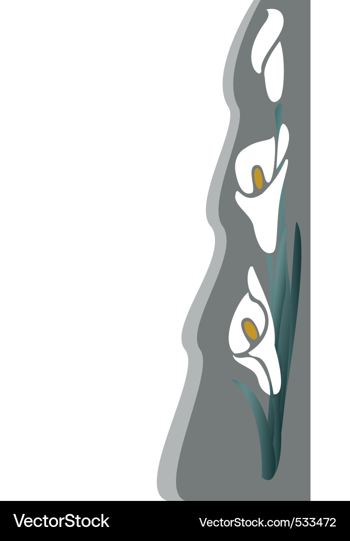 Elegant White Lilies Vector Image