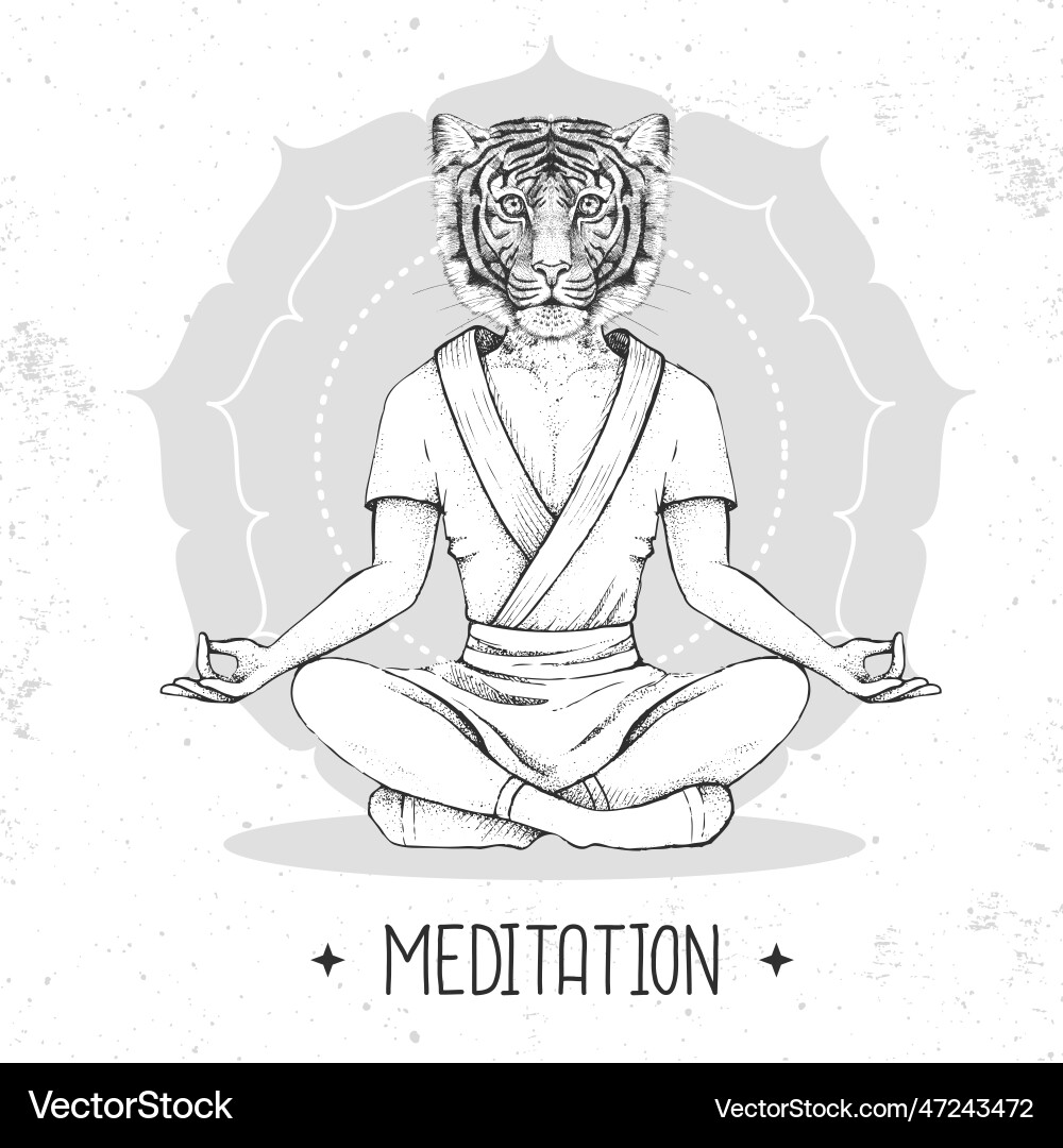 Hipster animal tiger meditating in lotus position Hipster animal tiger meditating in lotus position vector image