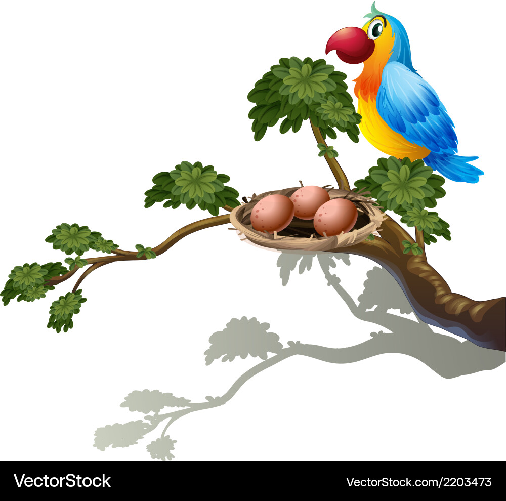 A big branch of tree with nest and bird vector image