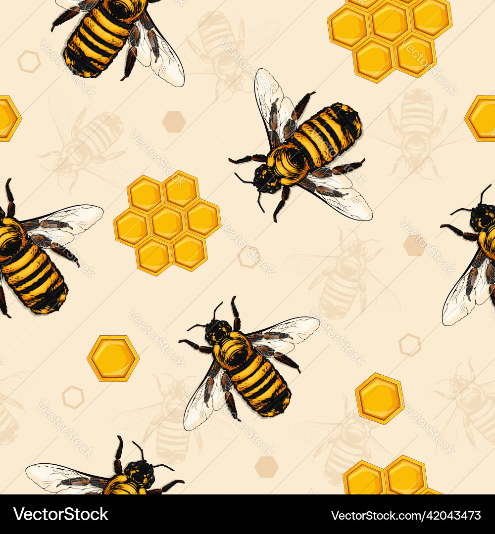 Honey Bee Hexagonal Pattern vector image
