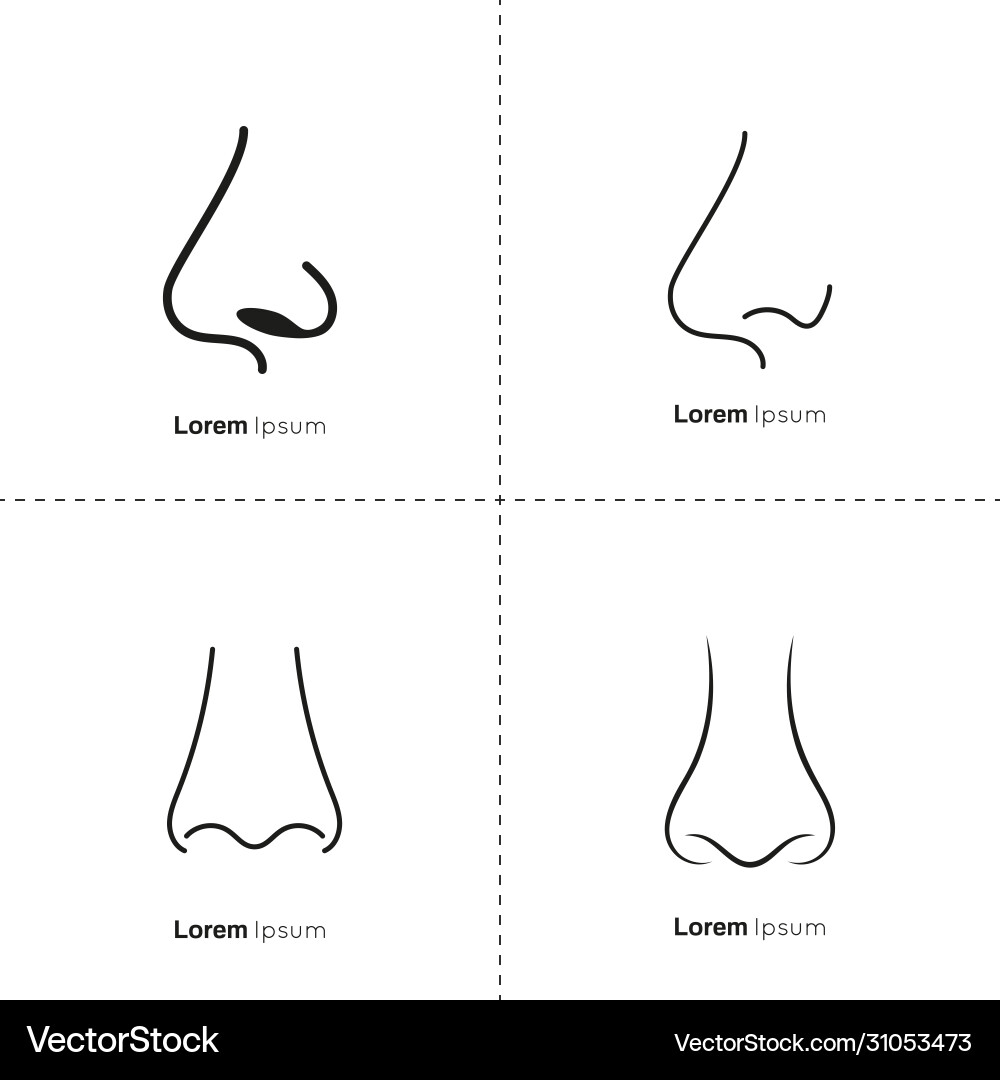 Human nose with nostrils Human nose with nostrils vector image