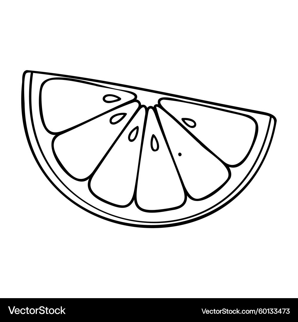 Lemon Wedge Line Art Slice – Royalty-Free Vector | VectorStock, image size:1000x1080