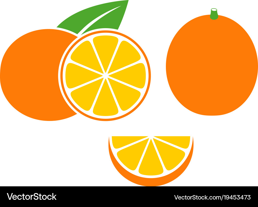 Orange Slices Set Royalty Free Vector Image - VectorStock