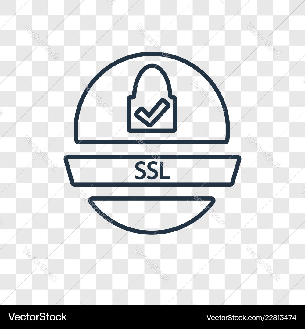 Ssl concept linear icon isolated on transparent Ssl concept linear icon isolated on transparent vector image