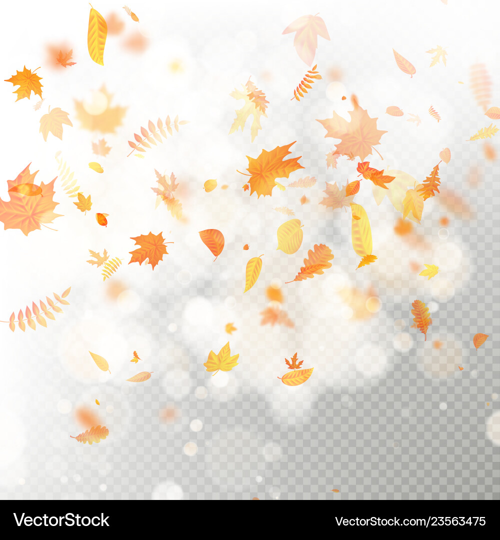 Effect of autumn falling leaves layer with shallow Effect of autumn falling leaves layer with shallow vector image