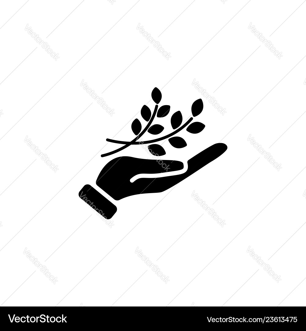 Web icon a branch in the hand Web icon a branch in the hand vector image