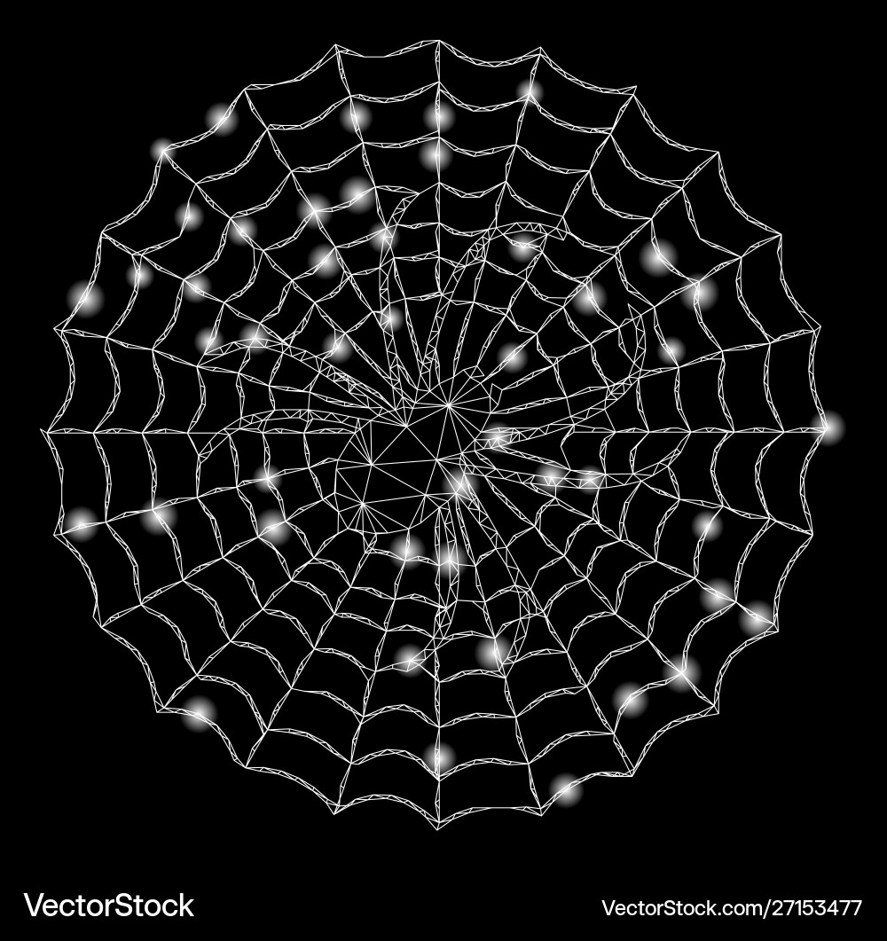 Flare mesh wire frame spider net with spots Flare mesh wire frame spider net with spots vector image