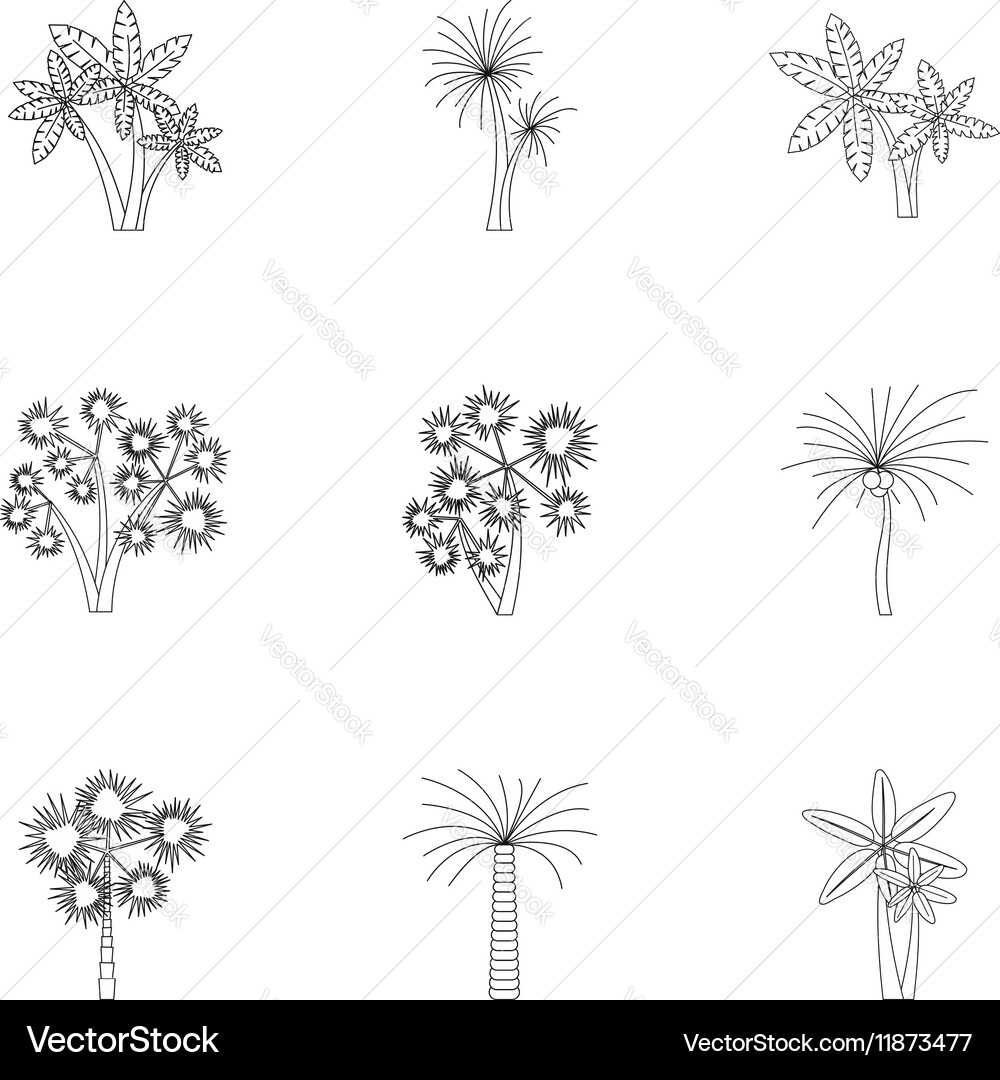 Tree palm icons set outline style Vector Image