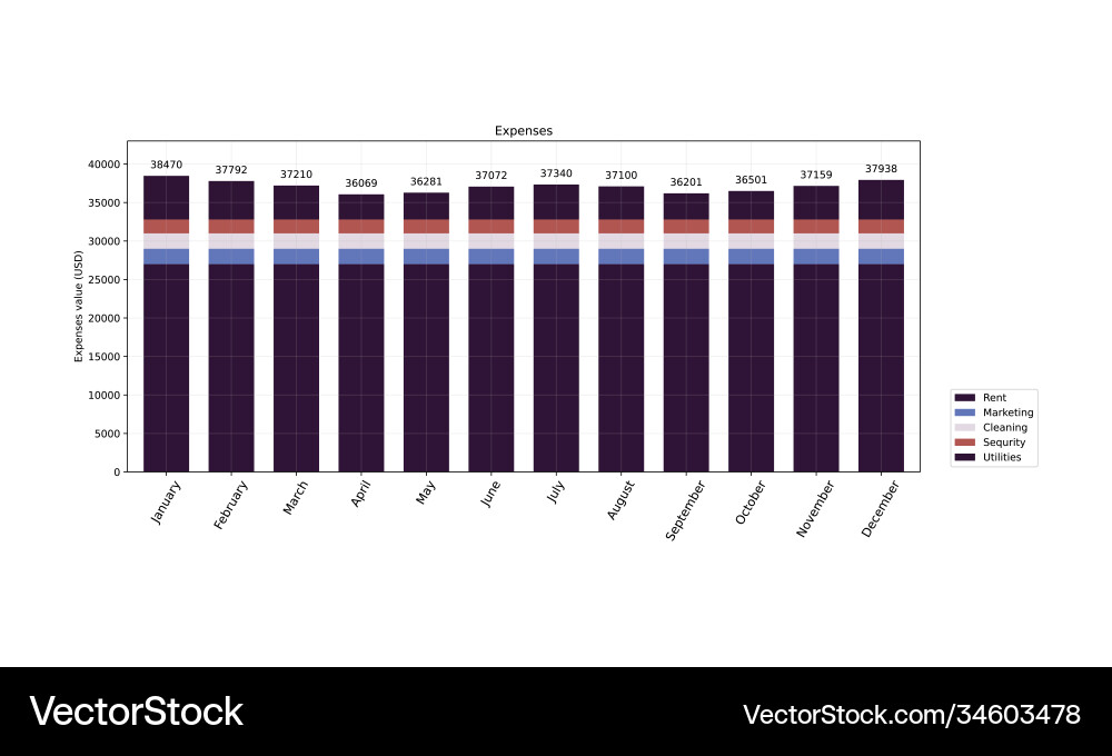 Chart graph diagram bar histograms Vector Image