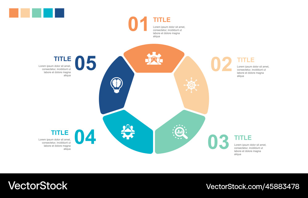 Development management analysis teamwork smart vector image