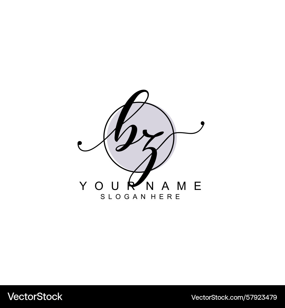 Handwriting logo concepts with initial bz Vector Image