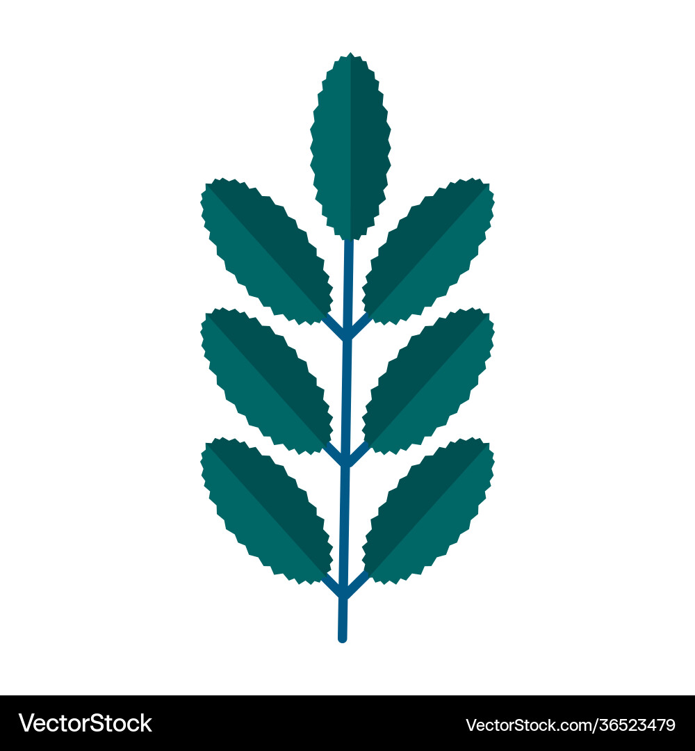 Simple minimalistic green branch rowan tree Vector Image