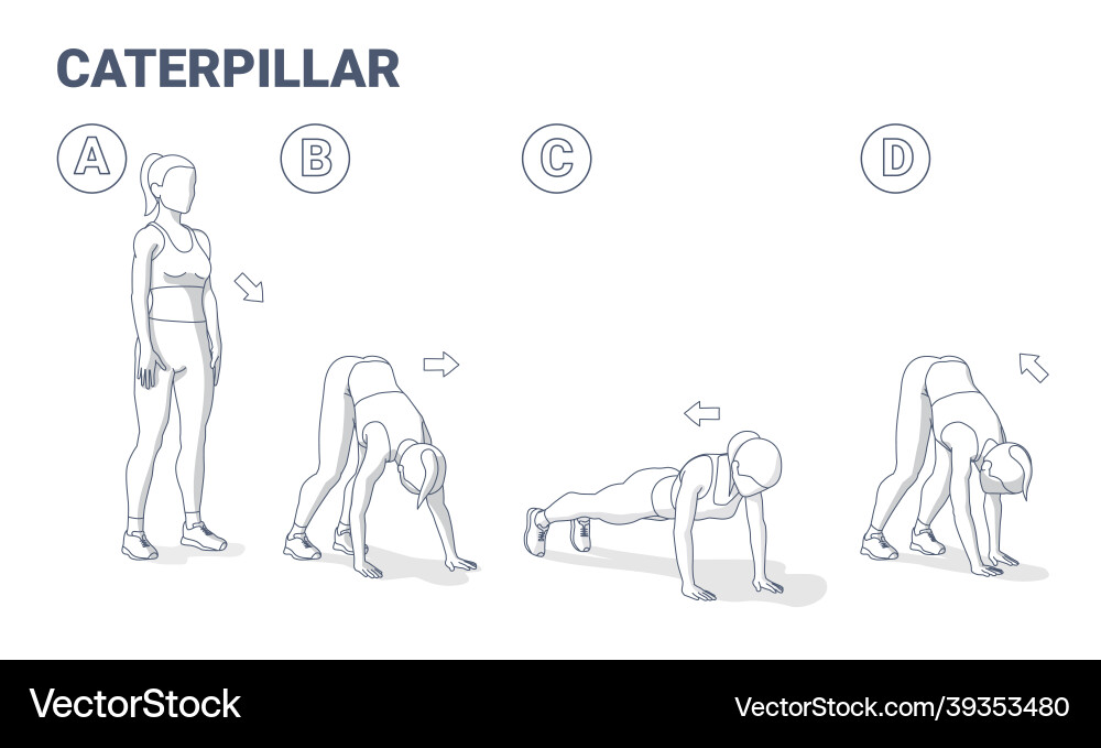 Frau macht Caterpillar Fitness Haus Frau macht Caterpillar Fitness Haus vektorbild