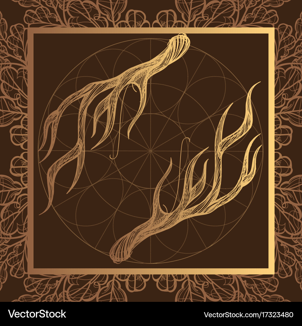Horns a set of elements in the style boho vector image