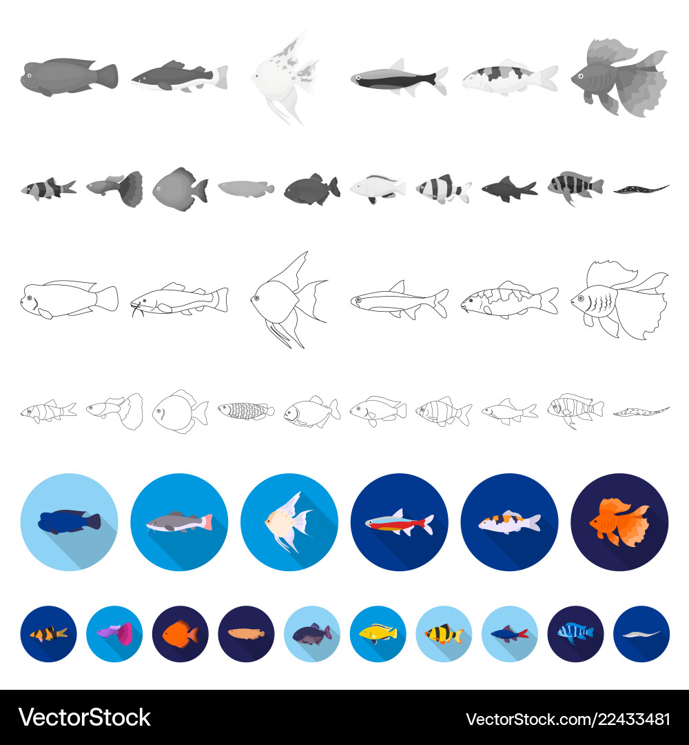 Different types of fish flat icons in set vector image