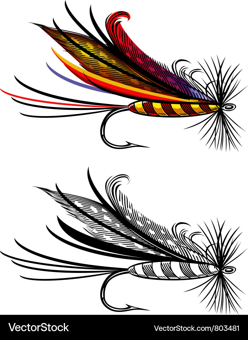 Fishing Fly Art Vector Image