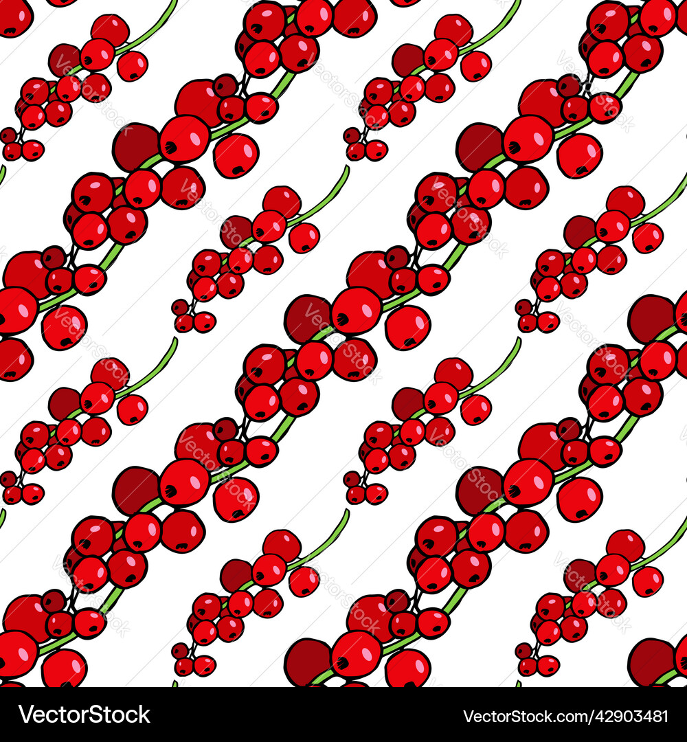 Seamless pattern with wonderful red currant vector image