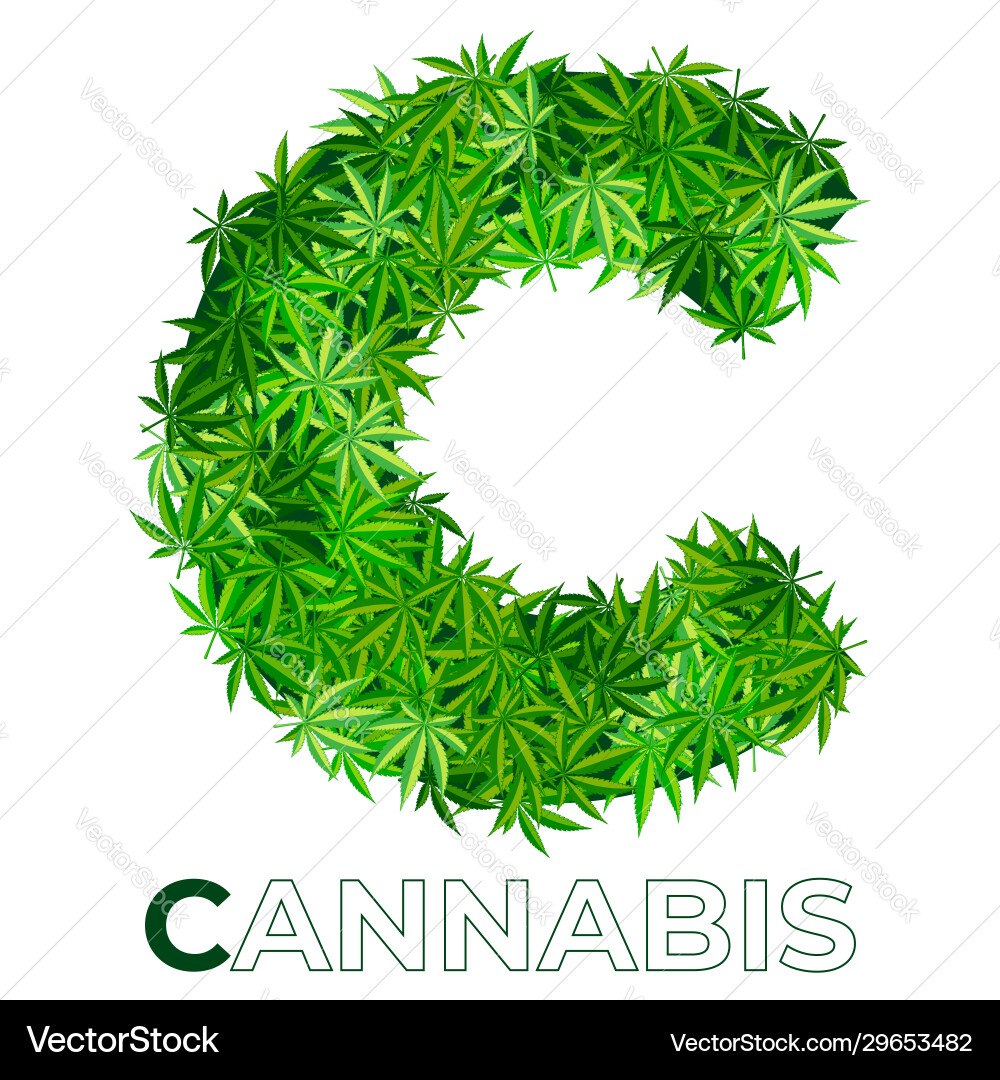 Cannabis hemp leaf logo Cannabis hemp leaf logo vector image