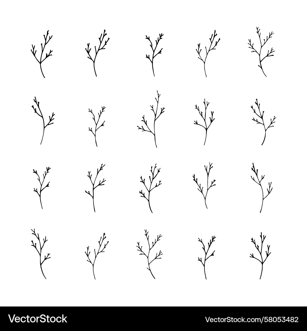 Minimal Branch & Twig Set Vector Image