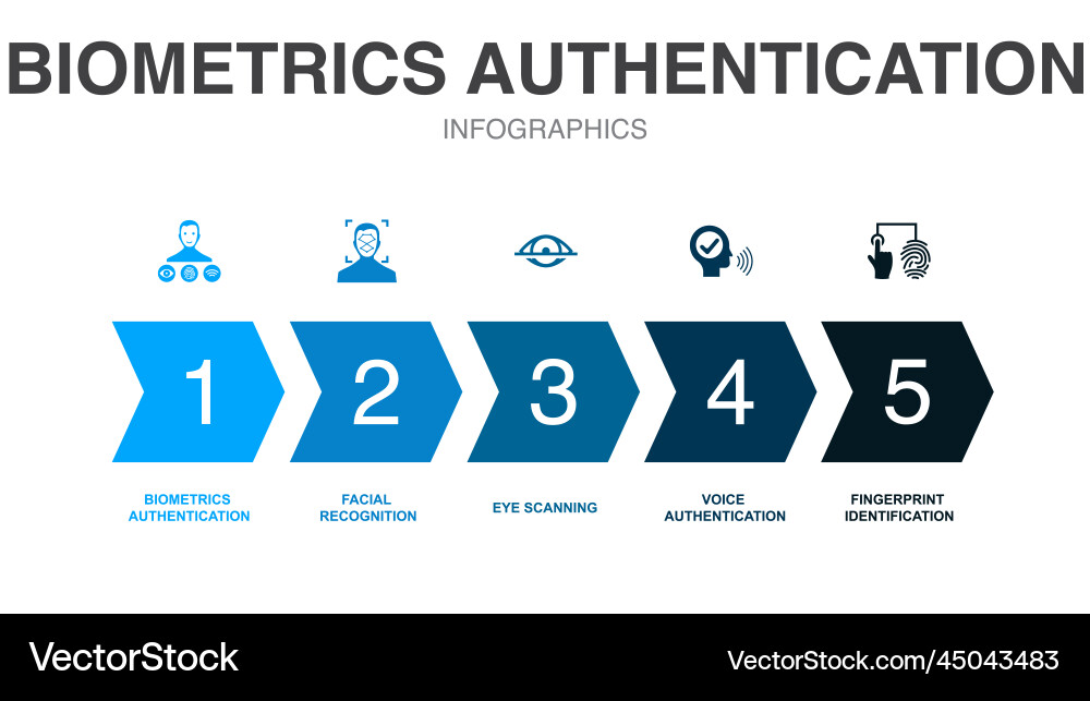 Biometrics authentication icons infographic design vector image