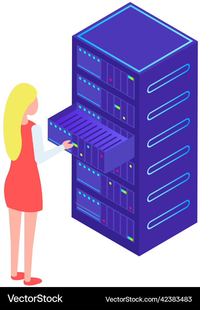 Database center info storage system administrator vector image