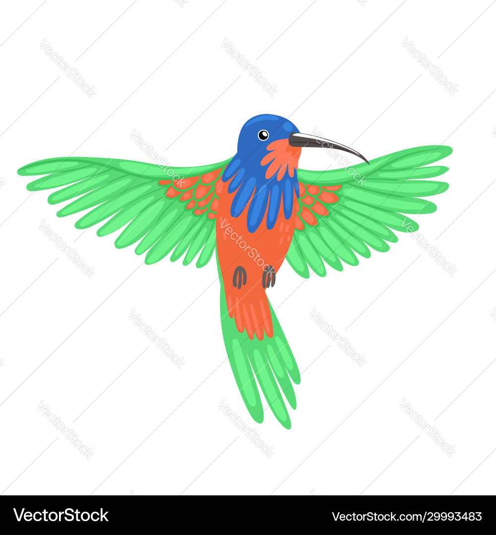 Hummingbird Vogel isolieren auf einem weißen Hintergrund Hummingbird Vogel isolieren auf einem weißen Hintergrund vektorbild