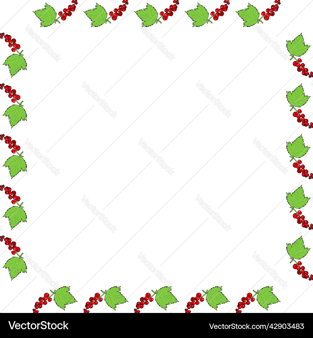 Square frame with red currant and its leaf Vector Image