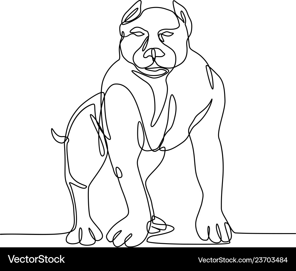 American bully continuous line Vector Image