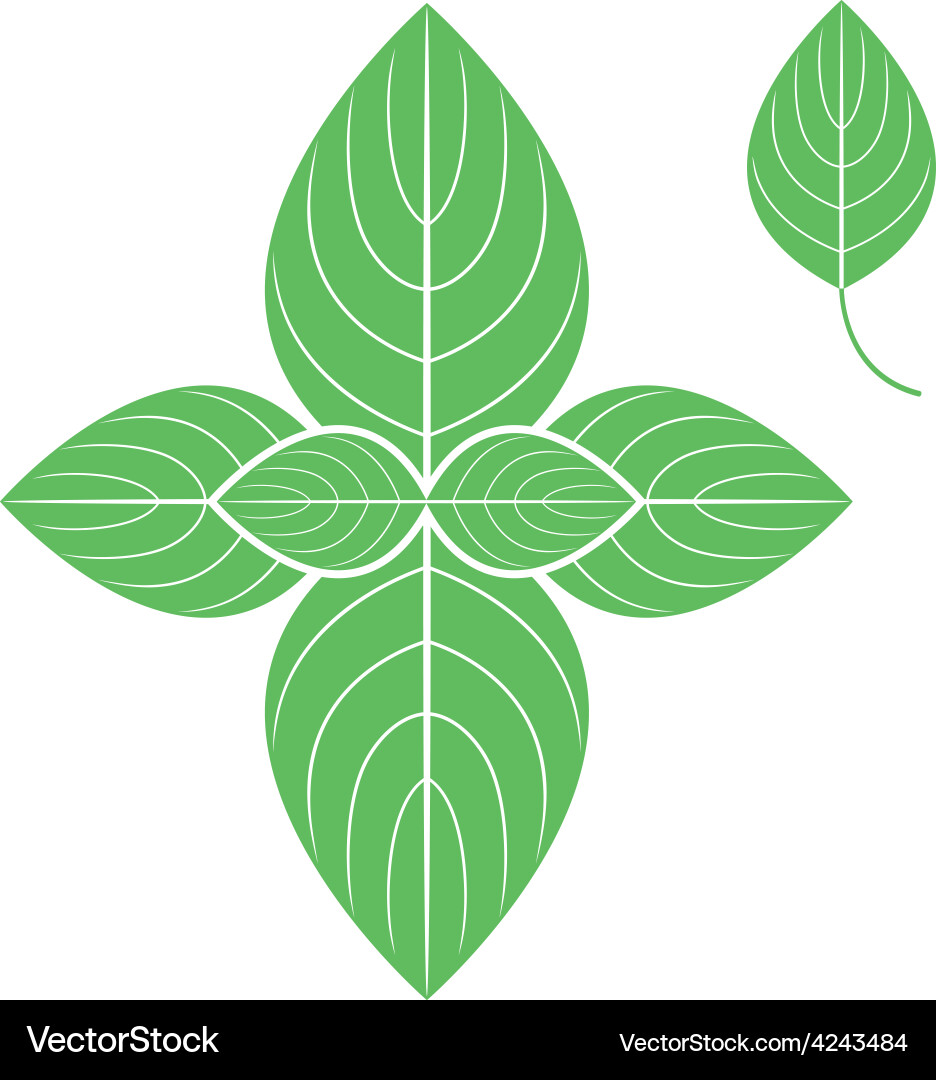 Basil Leaf Emblem Vector Image