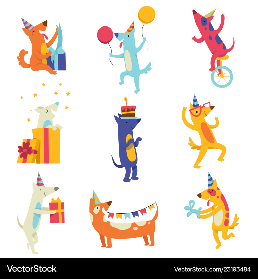 Collection of cute dogs in party hats funny Collection of cute dogs in party hats funny vector image