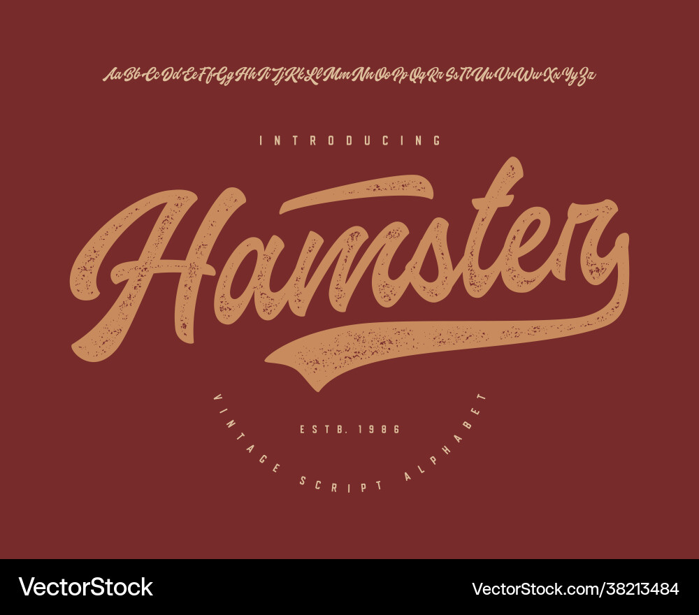 Original brush script font retro typeface Original brush script font retro typeface vector image