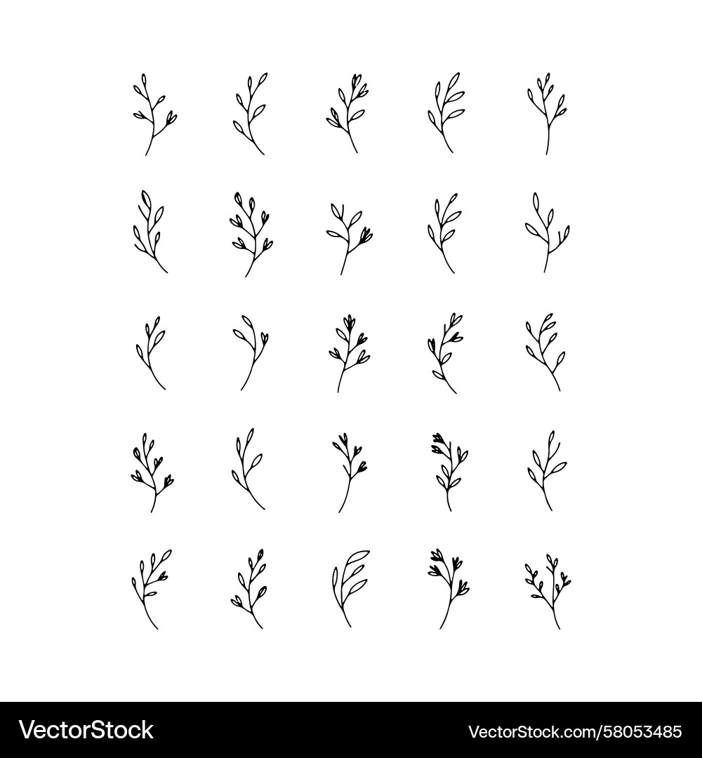 Botanical Twig & Leaf Pattern Set Vector Image