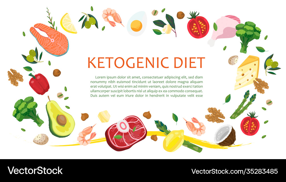 Keto diet banner landing page or blog post Keto diet banner landing page or blog post vector image