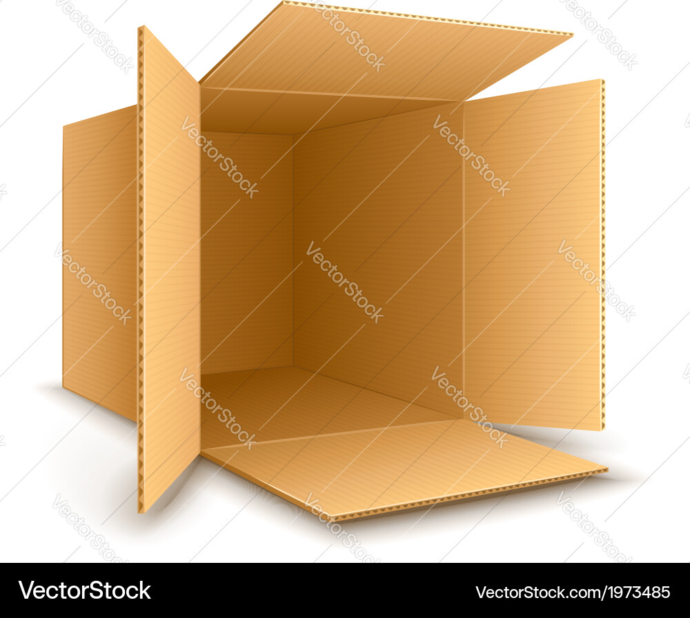 Open empty cardboard box Royalty Free Vector Image