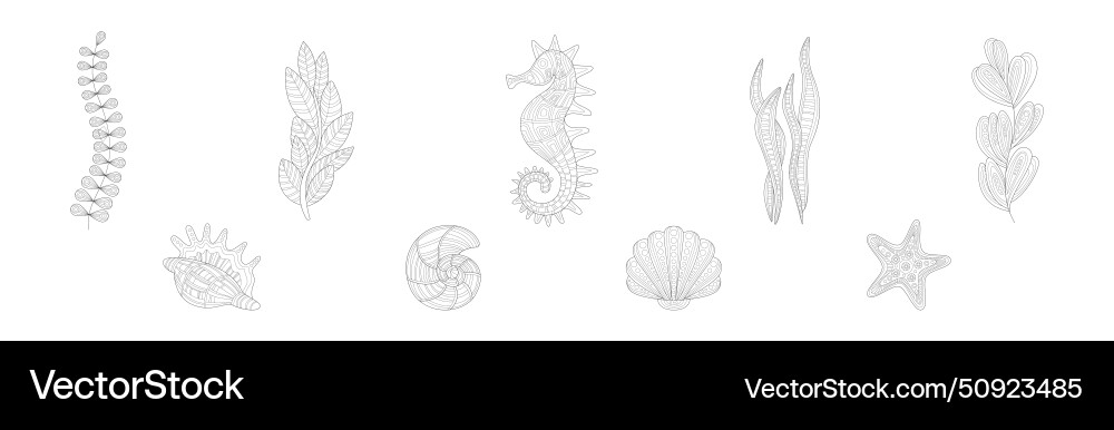 Underwater nature entangle coloring book object Vector Image