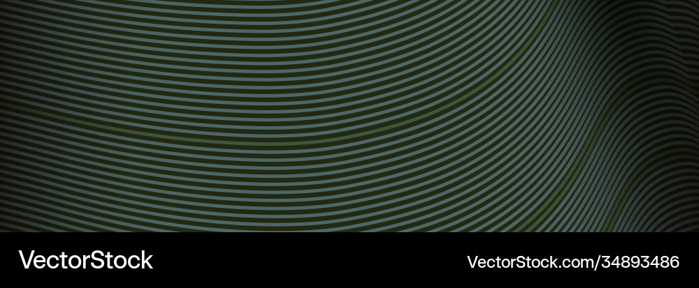 Banner wave lines pattern an abstract stripe Vector Image