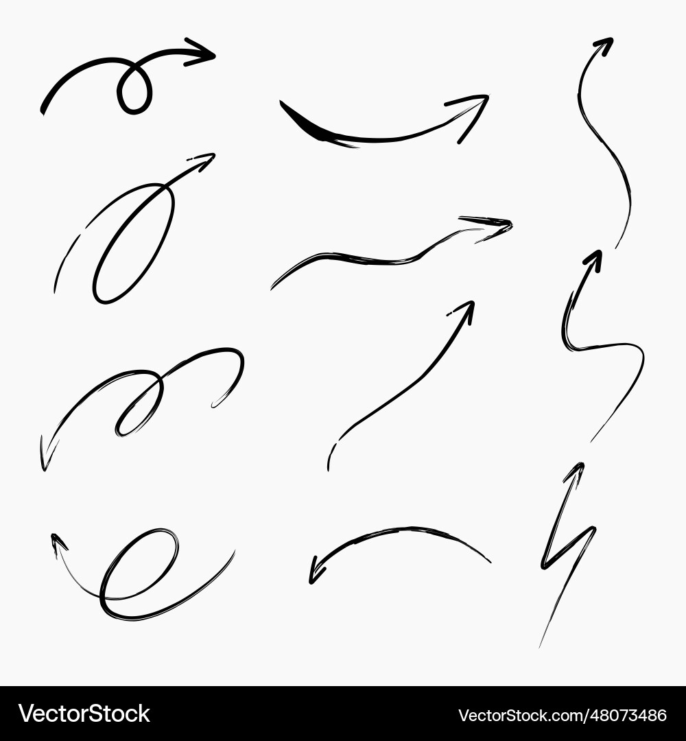 Continuous Line Arrows and Curves vector image